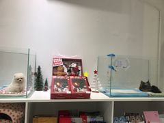 -BABYDOG宝贝狗宠物乐园(欧洲城店)
