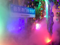 -澳门威尼斯人综合度假区