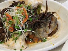 -抚顺美食·老上海味道