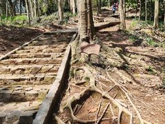 -上海佘山国家森林公园天马山园