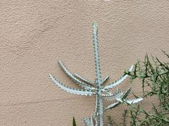 -正佳雨林生态植物园