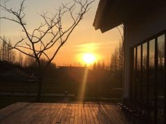 -前小桔亲子创意农场·草莓采摘·露营烧烤