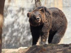 -泉州海丝野生动物世界
