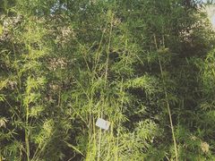-仁和公园(顺义区)