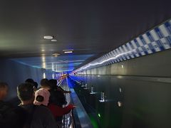 -白鹤梁水下博物馆