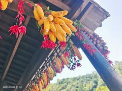 -阳产土楼