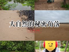 -日照海滨国家森林公园