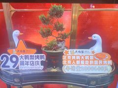 -大鸭梨烤鸭·北京菜(南小街/南苑店)
