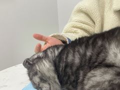 -福州肆爪动物医院