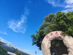 -演武大桥观景平台