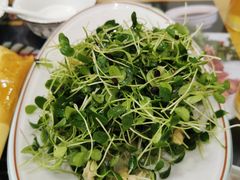 -八次方密云水库鱼粘卷子·熏鸽子·农家菜