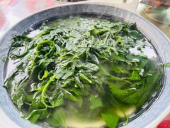 -绿草墩