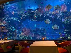 -迪拜帆船酒店海底餐厅