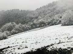 -敬亭山风景名胜区