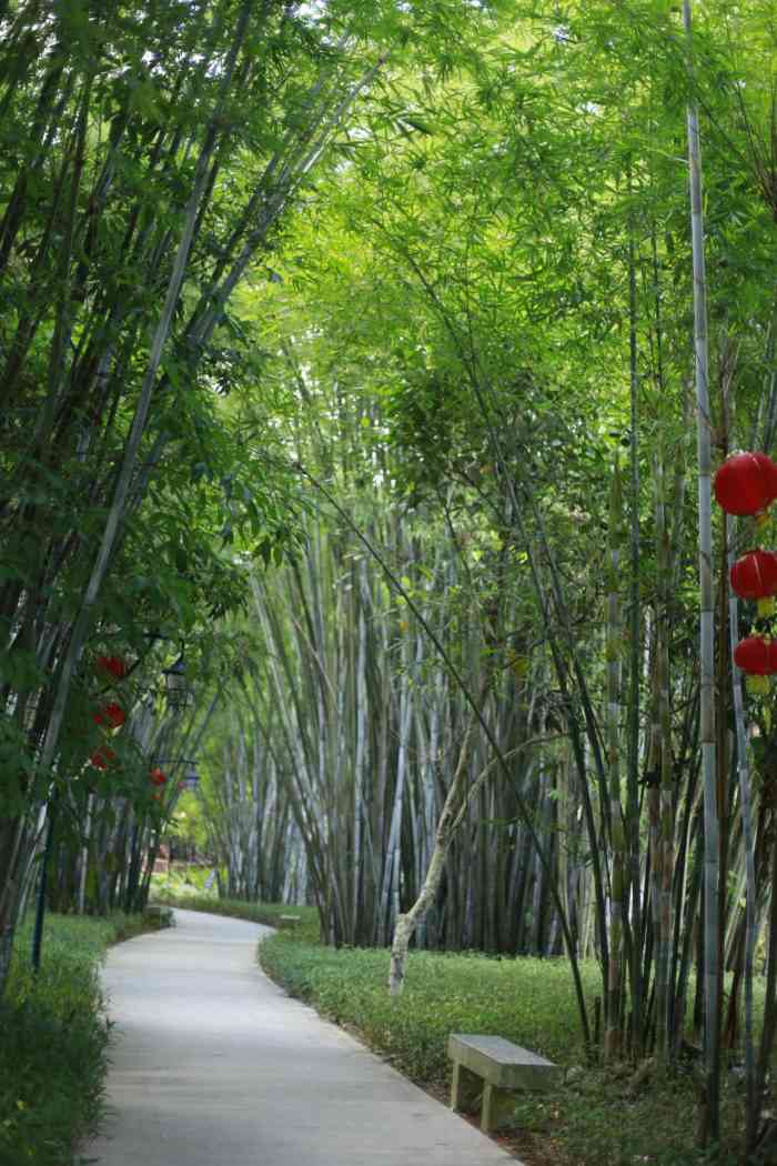 旺同公园-"闲时去,人很少,里面风景主要是竹子,感受."-大众点评移动版