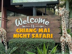 -清迈夜间动物园