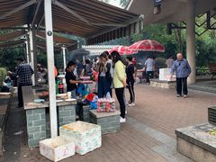 -吴淞炮台湾湿地森林公园烧烤区