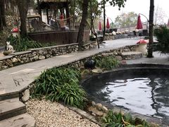 -温汤大酒店餐厅