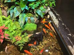 -隐炉和牛烧肉店(群力店)