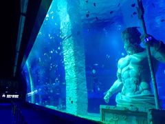 亚克力胶巨型浴缸-正佳极地海洋世界
