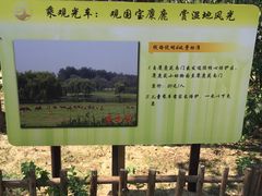 -北京麋鹿生态实验中心