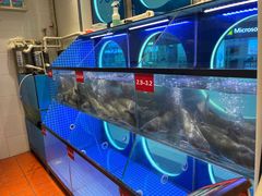 -鱼酷活鱼烤鱼(恒隆广场店)