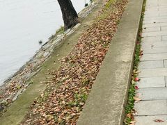 -团城山公园