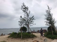 -杨梅坑
