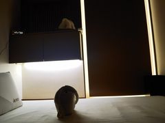 -泰合玺·精油疗愈 SPA(南京河西万达店)