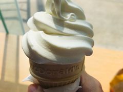-麦当劳(花园北路店)
