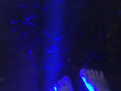 -宝丽金大酒店·洗浴中心
