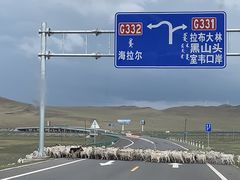 -诺敏塔拉奶茶-布里亚特包子-手把肉(锦都会店)