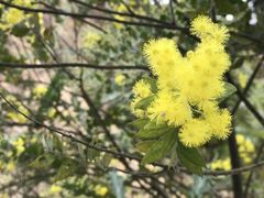 -广州市流溪河国家森林公园
