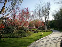 -上海长兴岛郊野公园