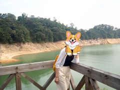 -广州市流溪河国家森林公园