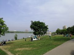 -灞河西岸滨河公园