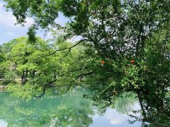 -花溪公园