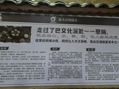 -张关合渣(航空大道店)