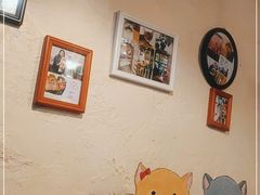 -猫小院猫主题咖啡厅(北锣店)