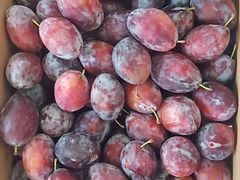 -西郊国际农产品交易中心