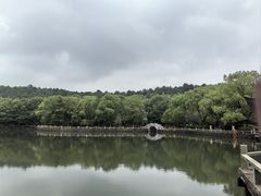 -旺山景区