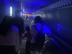 -白鹤梁水下博物馆