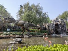 -北京野生动物园