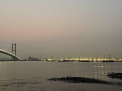 -海鸥岛