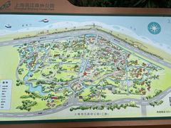 -上海滨江森林公园