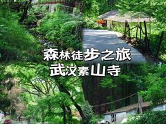 -素山寺森林公园
