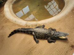 -西霞口神雕山野生动物世界