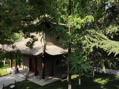 -西安博物院
