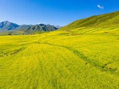 -扁都口生态休闲旅游区