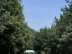 -少华山国家森林公园